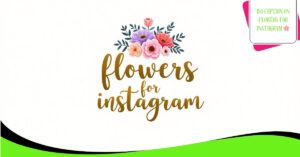 150 Caption on Flowers for Instagram 🌸